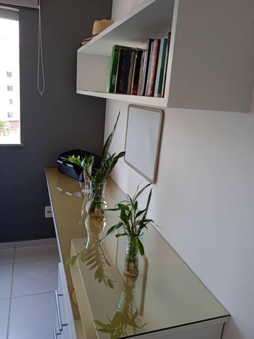 Apartment Cosy Flat Ilheus