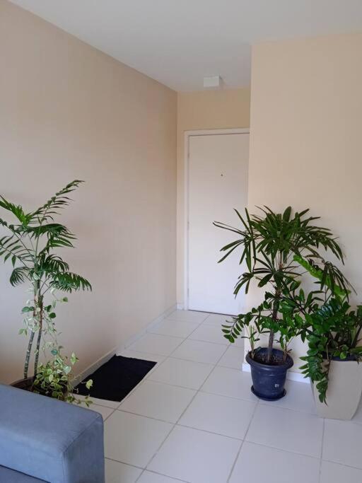 Cosy Flat Apartment *